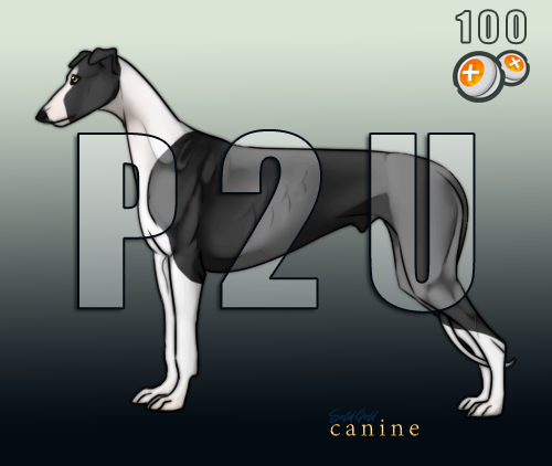 Greyhound by solidgoldcanine on DeviantArt