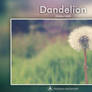 Dandelion