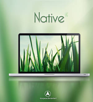 Native