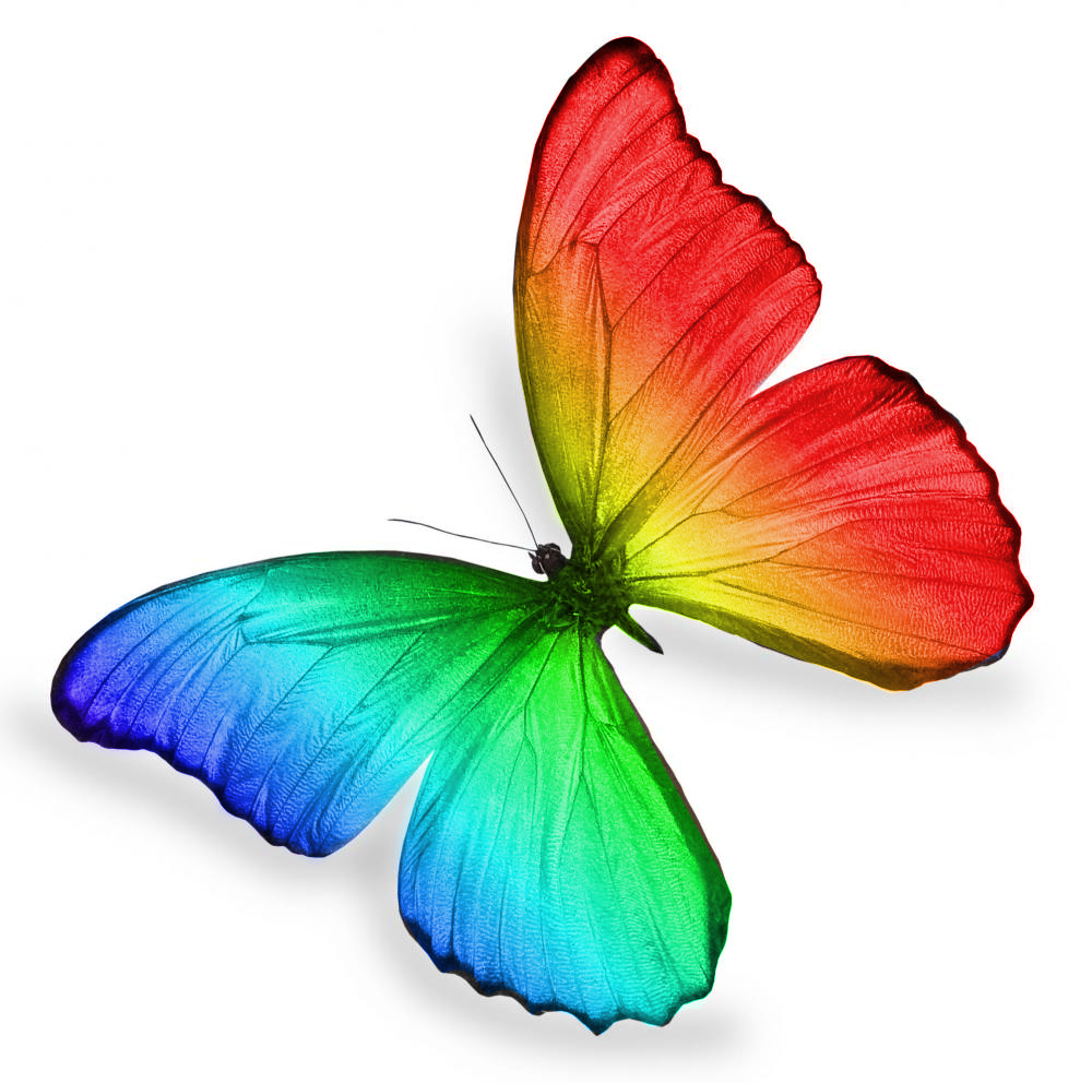 Rainbow Butterfly by ImpureElegance on DeviantArt