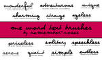 One word text brushes by whatdorosesmean