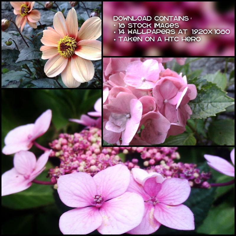 Stock Plants by Pokehkins on DeviantArt