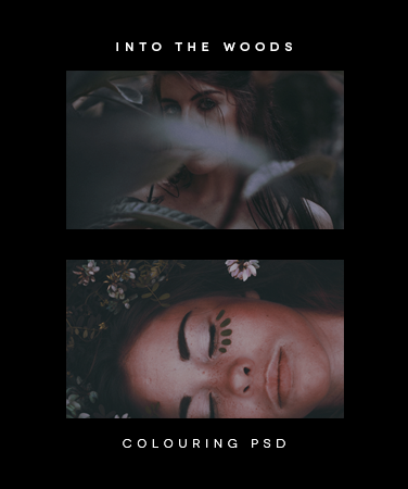 into the woods