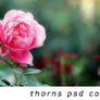 Thorns Psd Coloring By Starved Souls