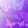 ButterFlies BruSHES....