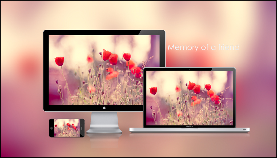 Memory of a friend by ironicall