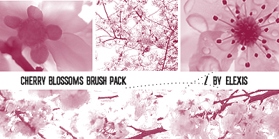 Cherry Blossoms Brush Pack by elexis6 on DeviantArt
