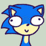 sonic derp