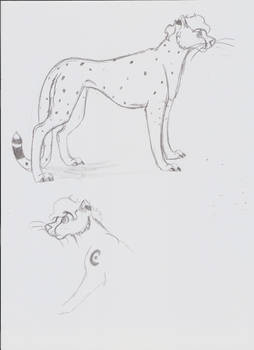 Clarence Cheetah Form