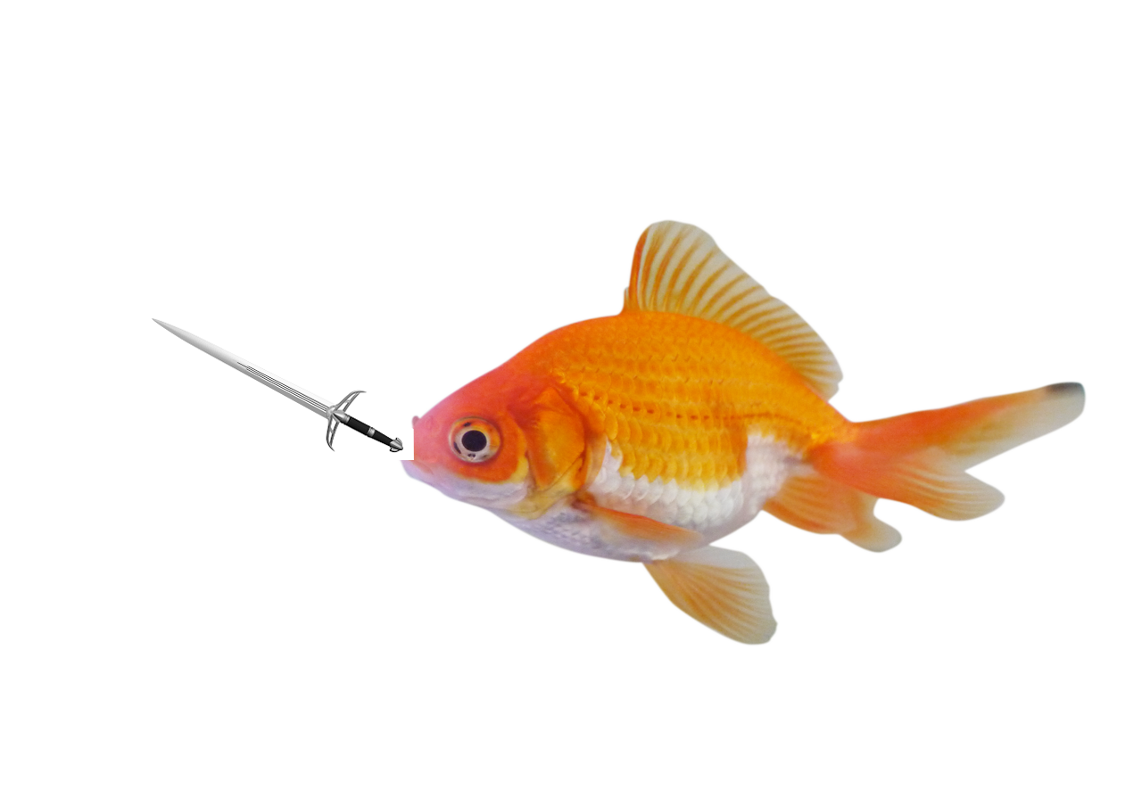 Sword Fish by TheMinecraftYoshi on DeviantArt