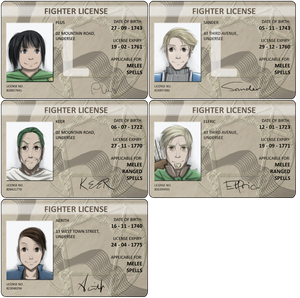 Carefree - Fighter's License