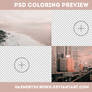 PSD Colorings preview
