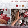PSD #28 - Mistletoe