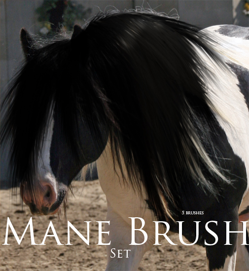 Mane Brushes