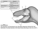 Refuting the croc-faced Tyrannosaurid model by Paleonerd01