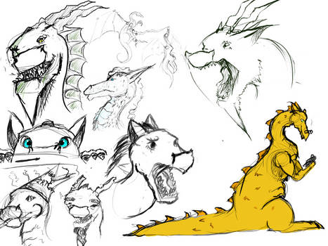 Dragon sketches