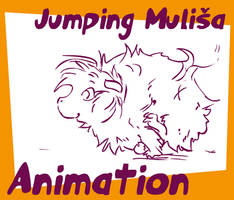 Jumping Guinea-Pig Mulisa