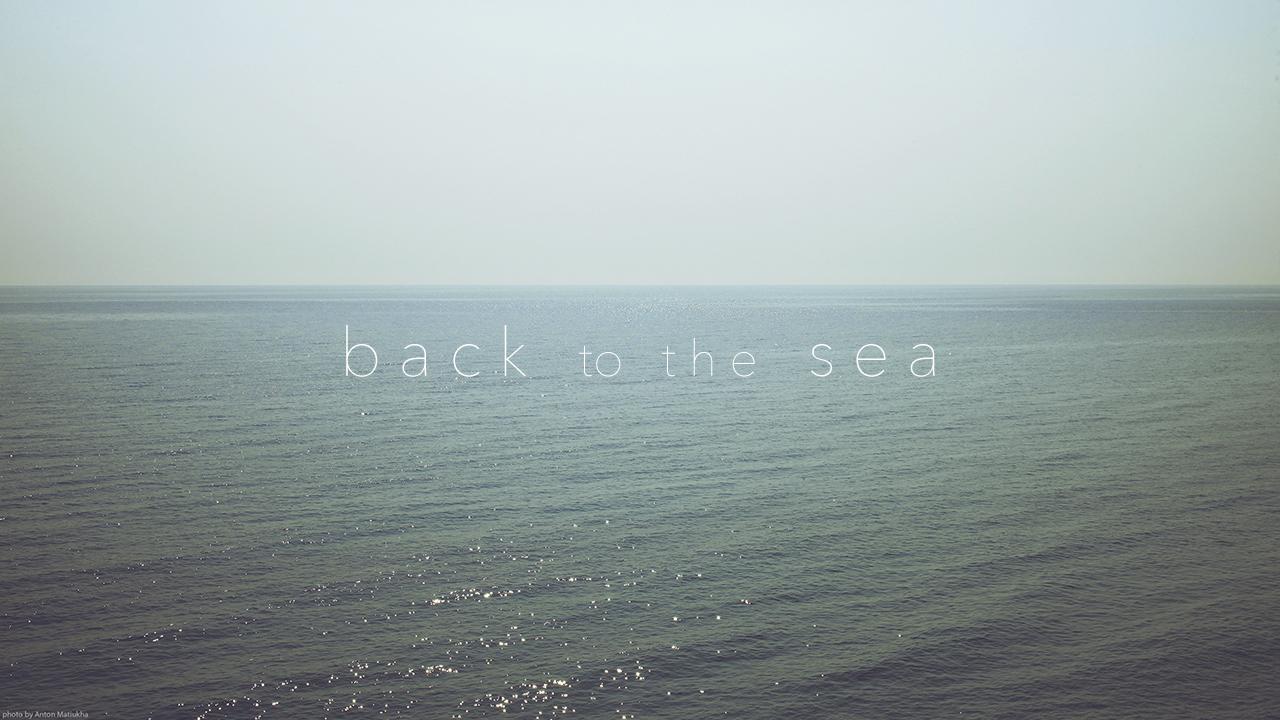 back to the sea by Zim2687 on DeviantArt