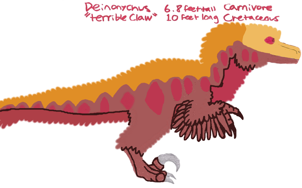 Deinonychus by tcr11050 on DeviantArt