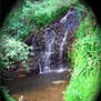 Kauai Waterfall Morph