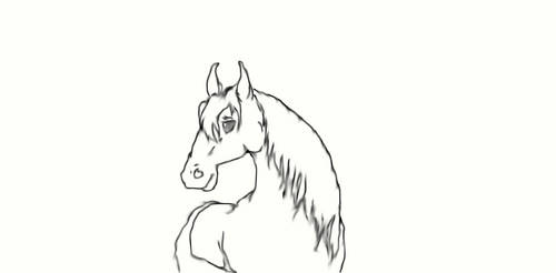Horse #1