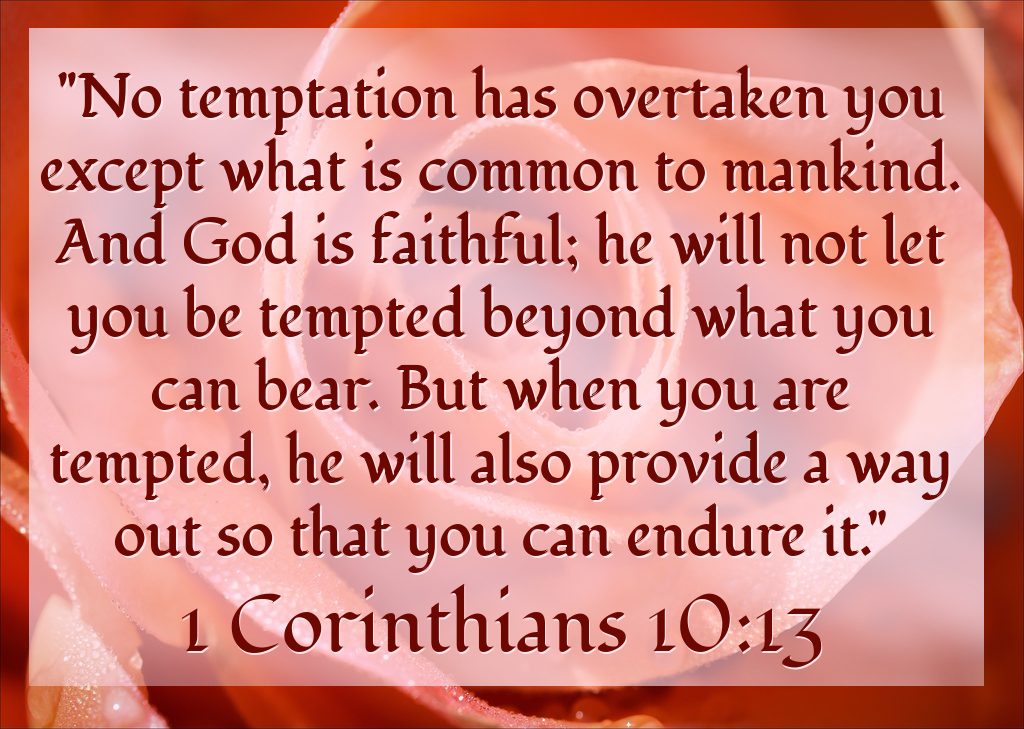 1 Corinthians 10:23 - wide 3