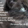 Proverbs 4:25 (NIV)