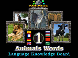 Animals Words