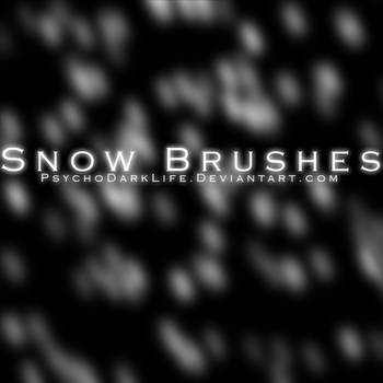 Snow Brushes