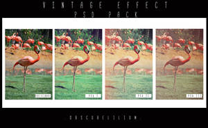 PSD Vintage Effects