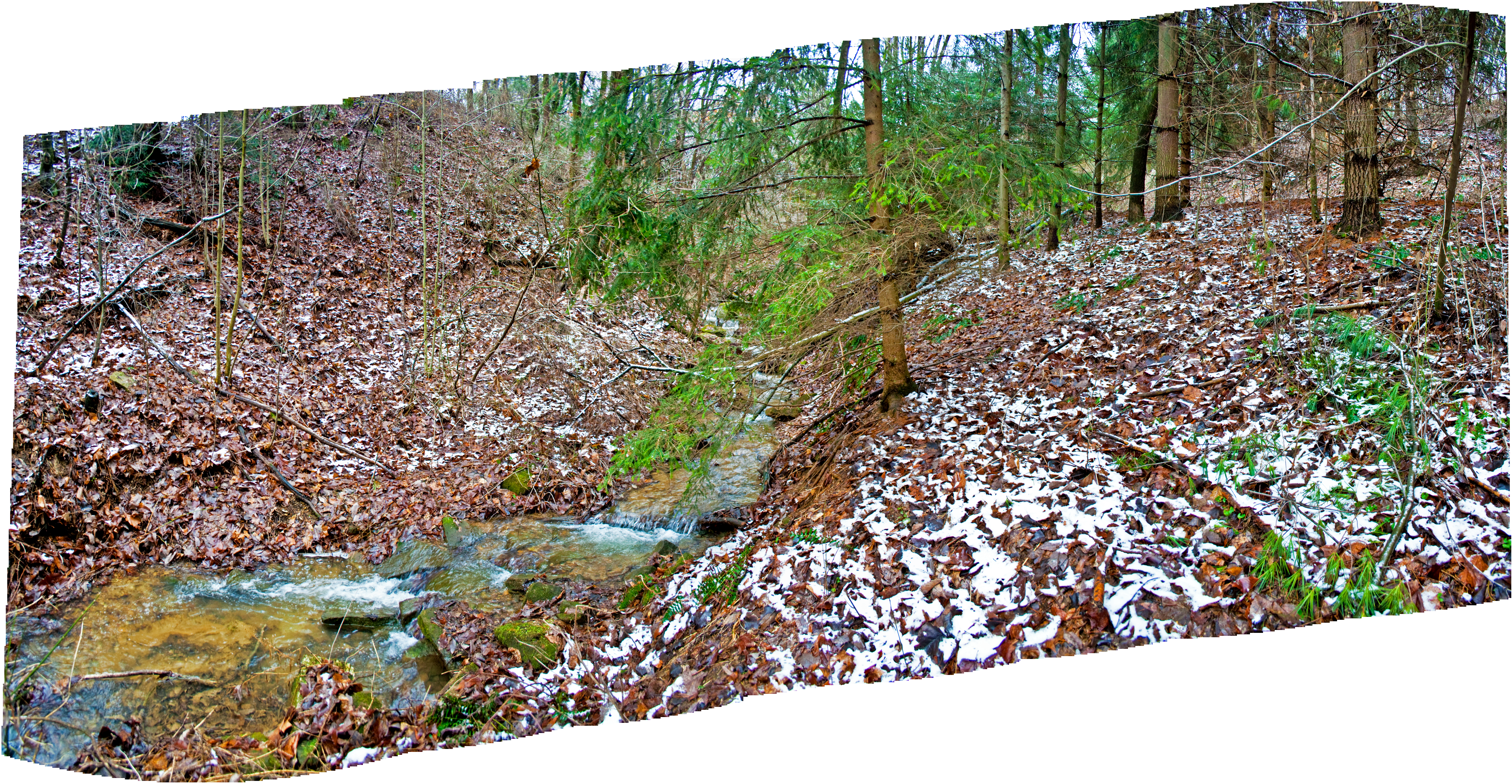 Spring Stream Panorama Stock