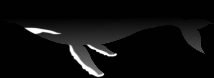 humpback_whale_svg