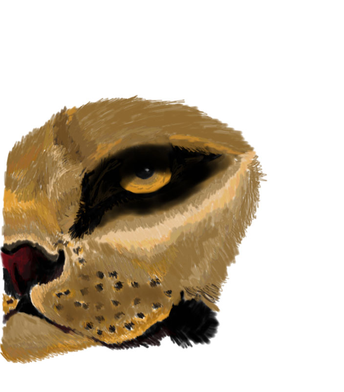 Cat by EyeWonderUniverse on DeviantArt