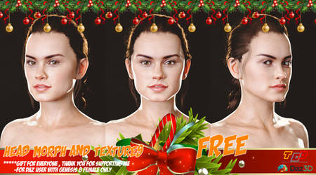 Daysee H+T free Christmas gift