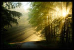 Beyond my Dreams II by FrederikM