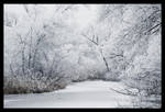 Winterdream by FrederikM