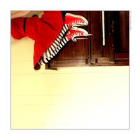 Opus 9 by emeraldiris