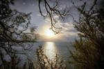 window to the world by atenytom