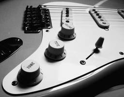 Fender by CelestialHalo92