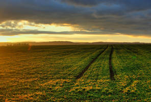 Far away by MurphyL6