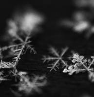SNOWFLAKES by MurphyL6