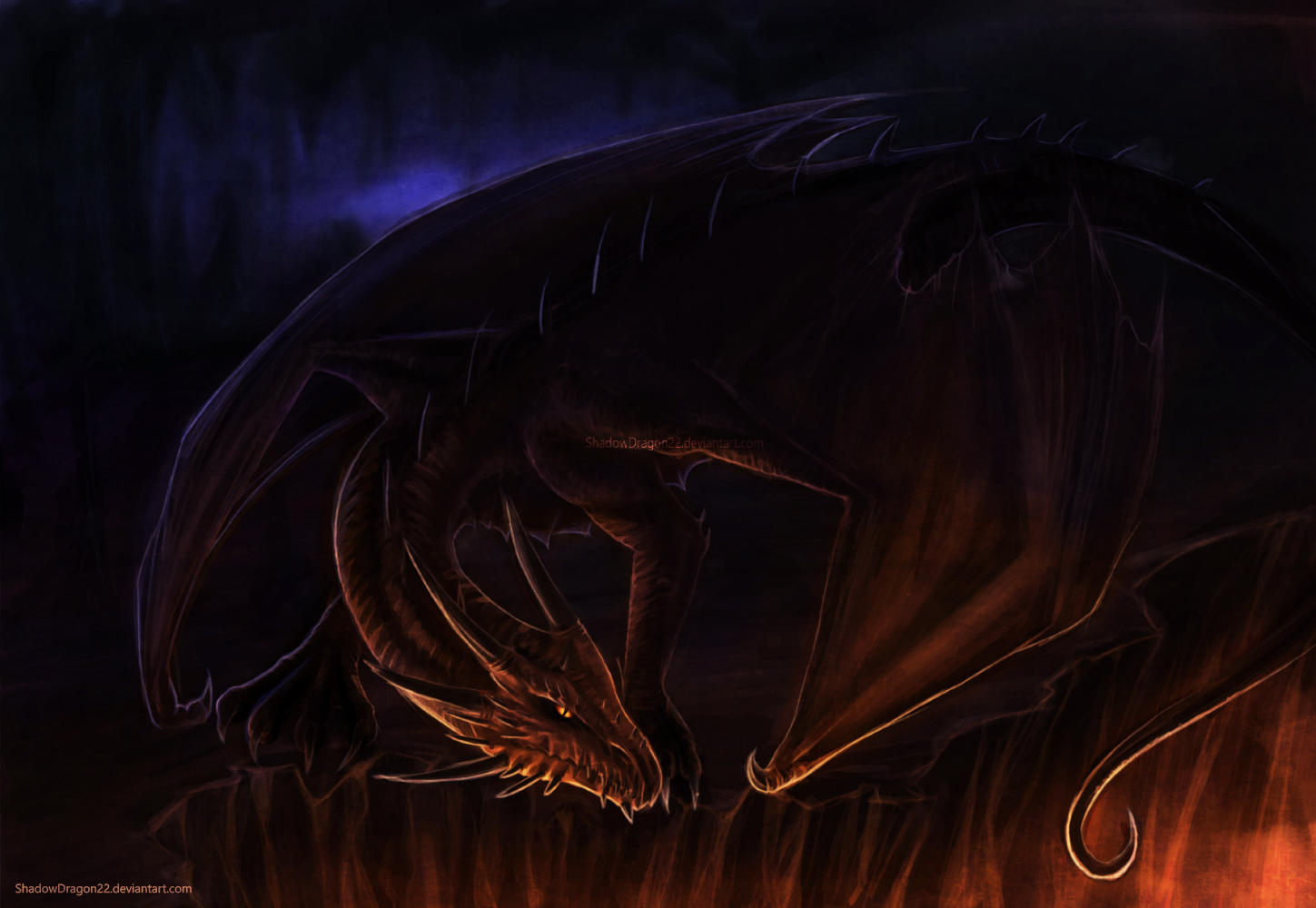 Staring into the fiiireeeee by ShadowDragon22