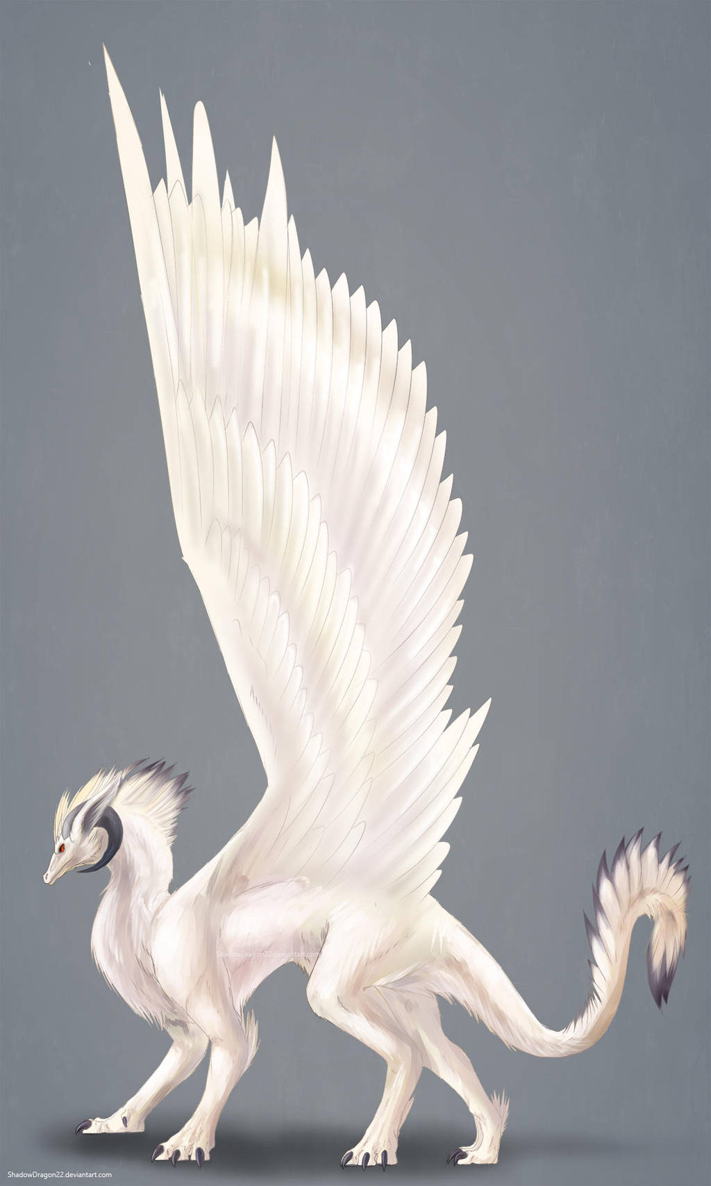 Aigla Dragon Commission by ShadowDragon22