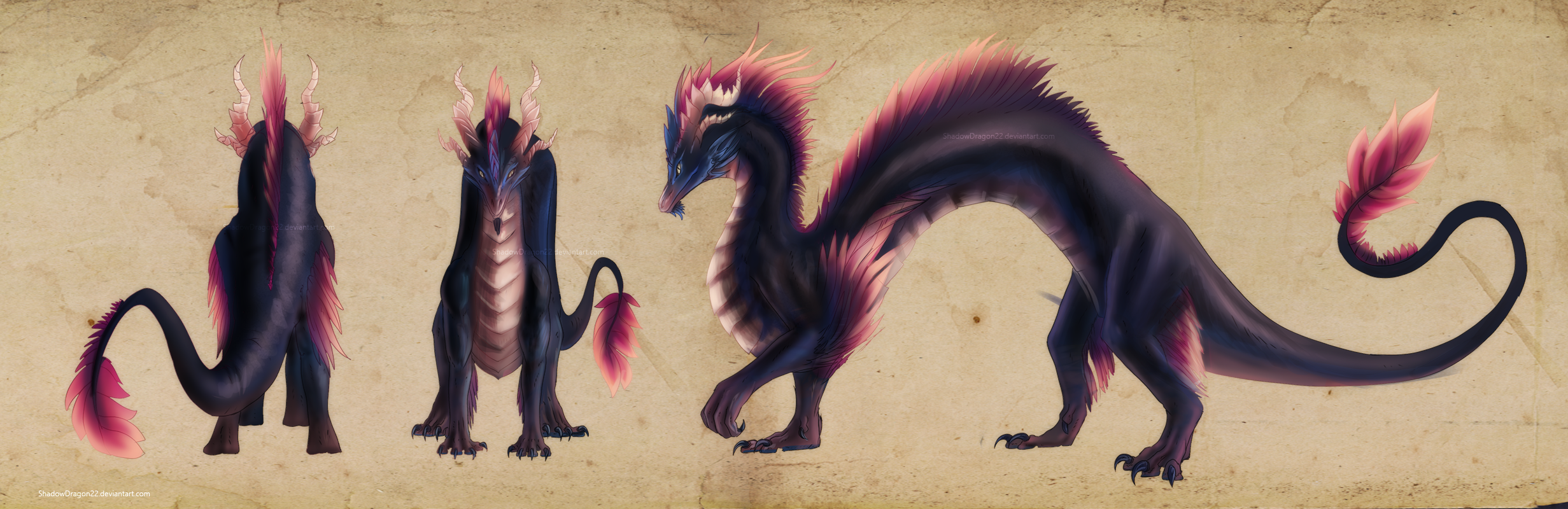 Ran Dragon Commission by ShadowDragon22