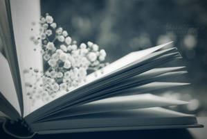 Enchanted Book by Alessia-Izzo