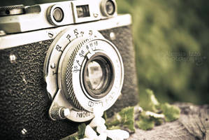 Just another vintage camera by Alessia-Izzo