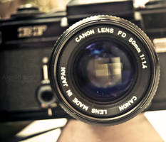 A reason for life by Alessia-Izzo