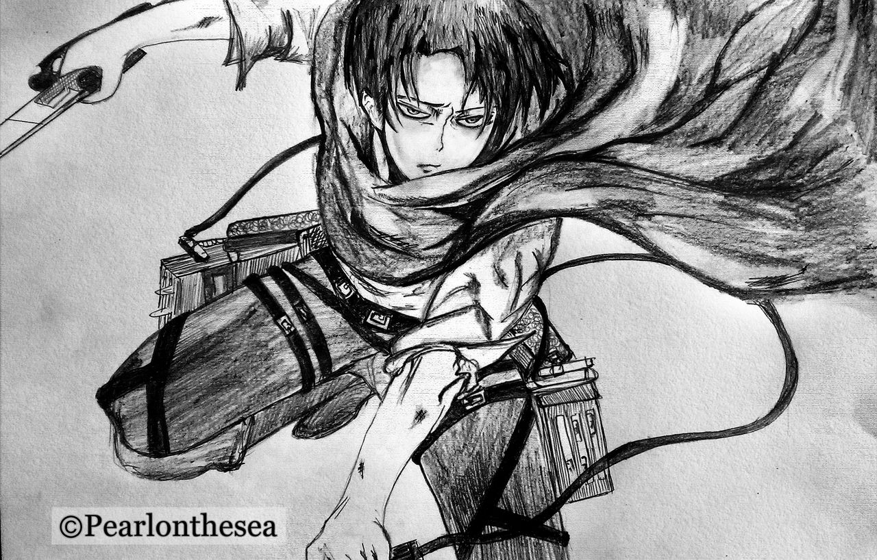 Attack on titan- Levi Ackerman by Pearlonthesea on DeviantArt