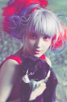 Lavender by Vinyl-Disco