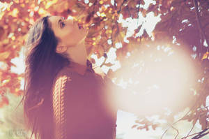 Orange by Vinyl-Disco